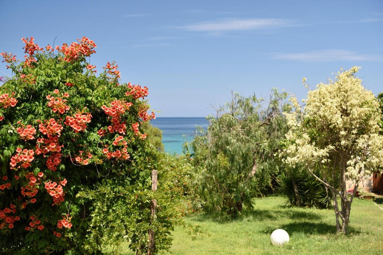 Villa Orri Tortolì Exterior foto
